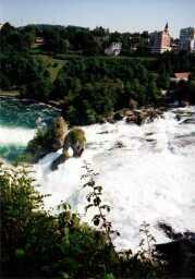 ���C���̑�